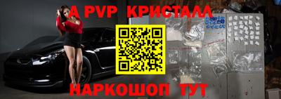 стафф Гай