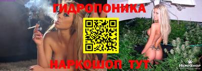 стафф Гай