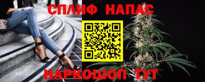 стафф Гай