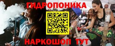 сатива Гагарин