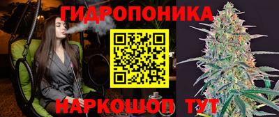 сатива Гагарин