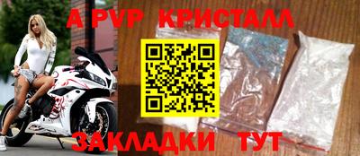 стафф Гай