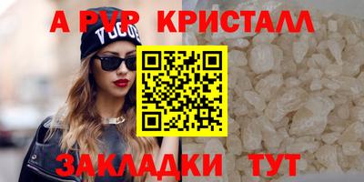стафф Гай