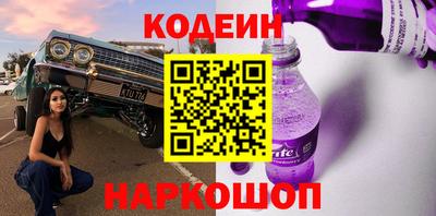 стафф Гай