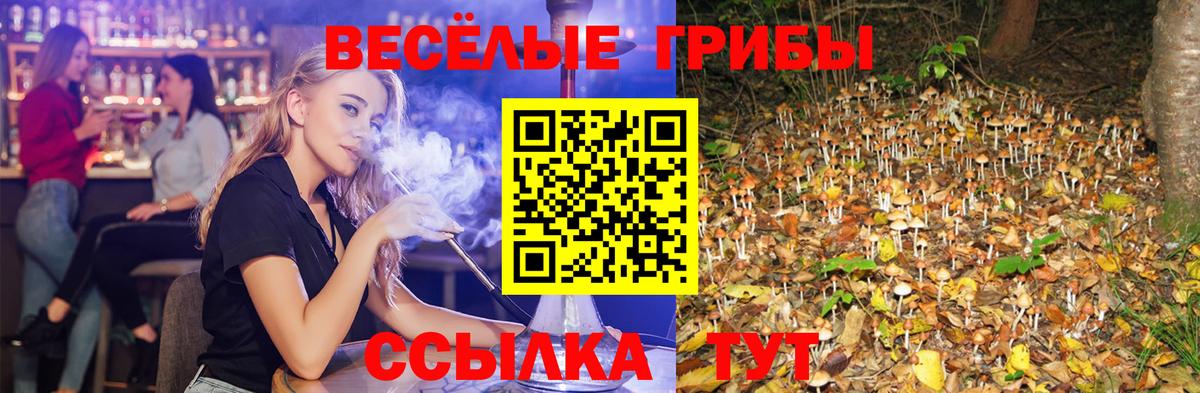 дарнет шоп  Галлюциногенные грибы прущие грибы  Вход с VPN  Домодедово 