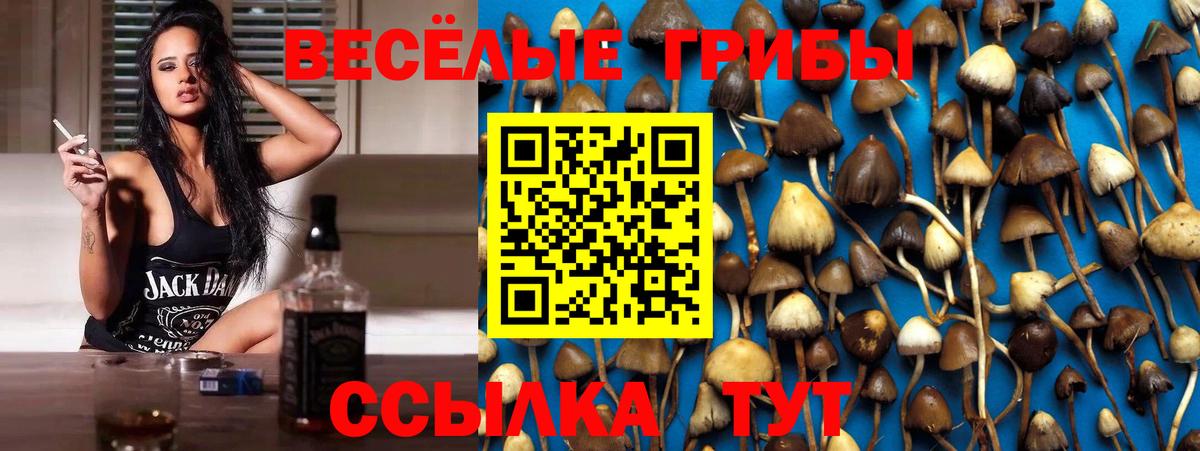 Псилоцибиновые грибы мицелий Домодедово