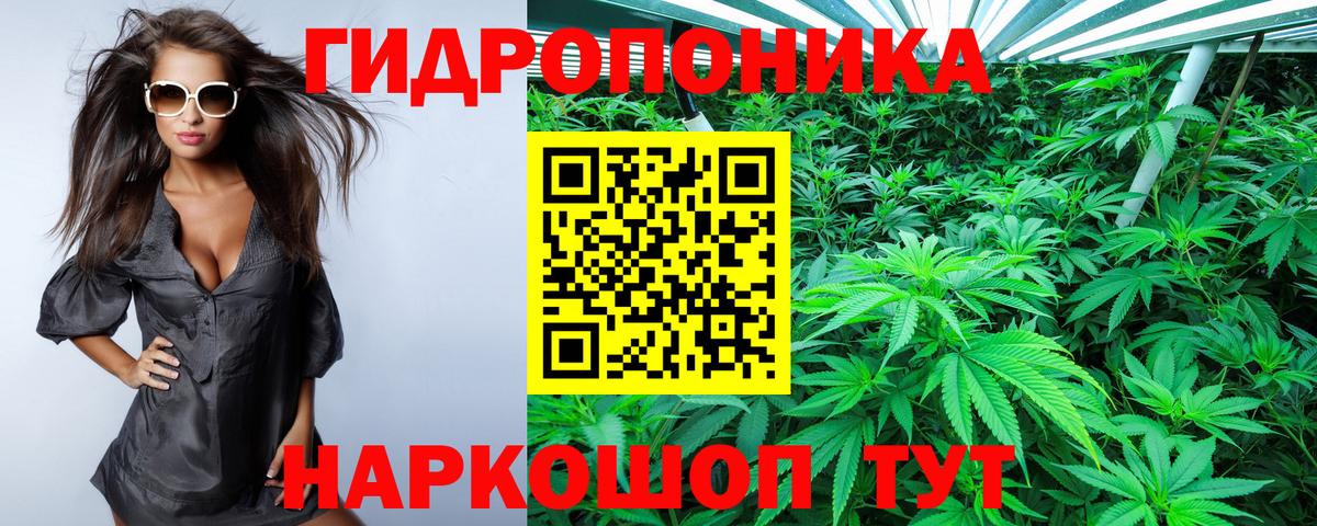 Шишки марихуана марихуана Домодедово